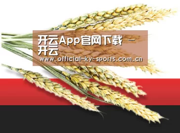 开云App官网下载 - 开云