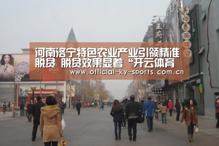 河南洛宁特色农业产业引领精准脱贫 脱贫效果显着“开云体育下载”(图1) 开云体育下载