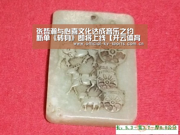 开云App下载