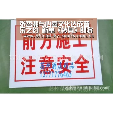 开云App下载