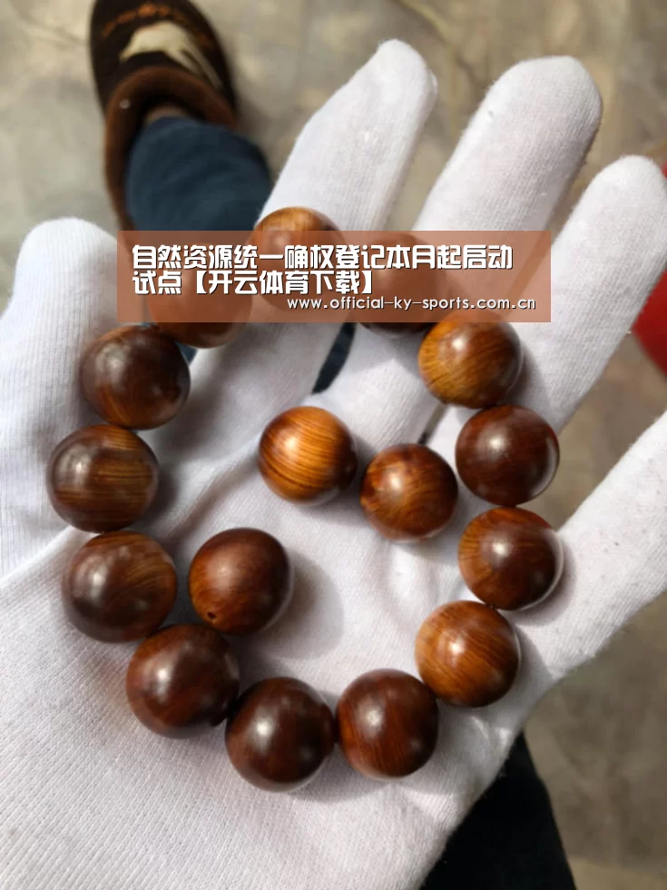 自然资源统一确权登记本月起启动试点【开云体育下载】(图4) 开云体育