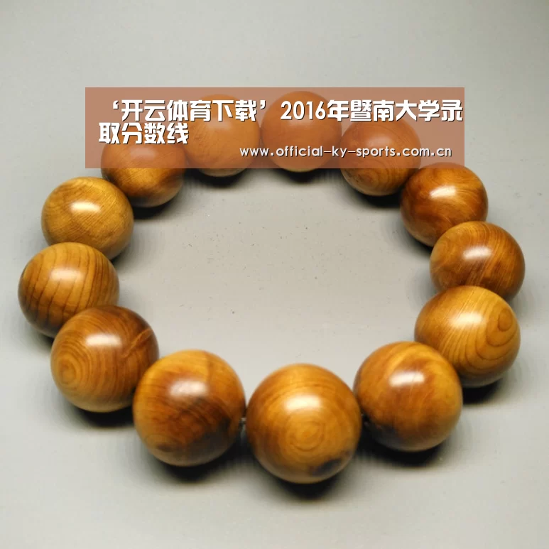 ‘开云体育下载’2016年暨南大学录取分数线(图1) 开云体育