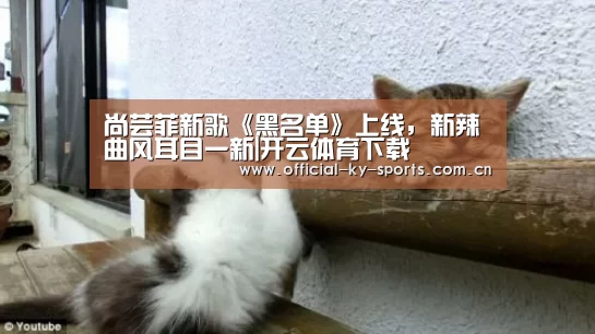开云体育下载